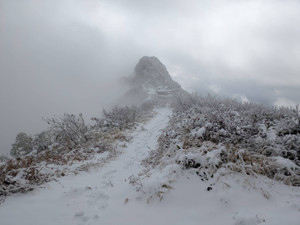 1761899596188 1761899596188