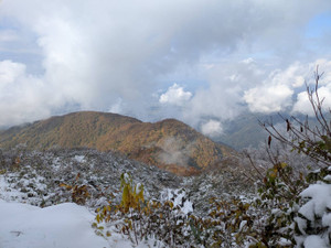 1761899601907 1761899601907