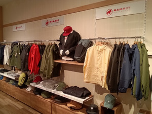 Kimg20260311_111353489