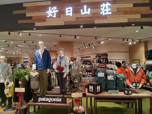 Kimg20260311_111544437