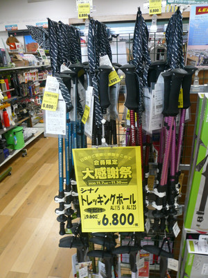 P1050019