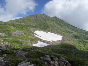 S__40976401