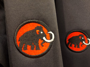 18560f16ad114eb29dc61184670ba496