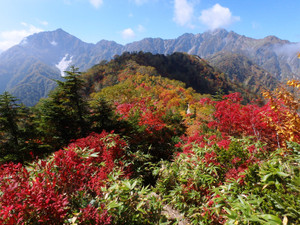 P9280645_2 P9280645_2