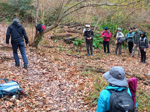 Img_20241222_111718900_hdr_ae Img_20241222_111718900_hdr_ae