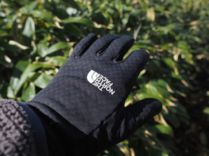 THE NORTH FACE/Expedition Grid Fleece Glove