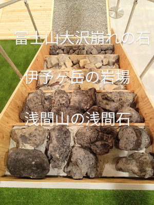 Shared_image_4 Shared_image_4