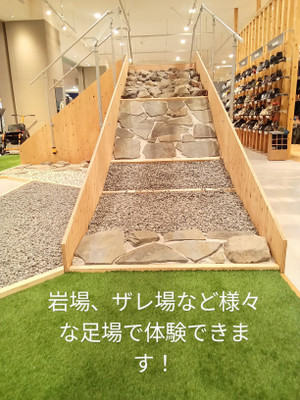 Shared_image_5 Shared_image_5