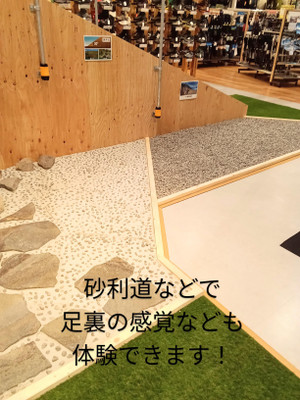 Shared_image_6 Shared_image_6