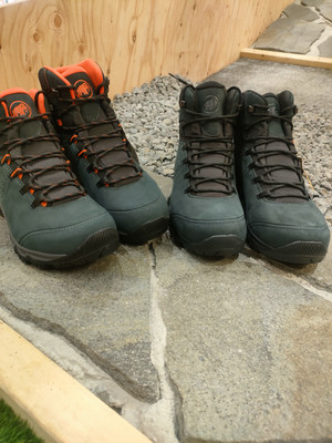 1000007664 1000007664