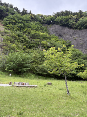 Image0