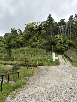 Image16