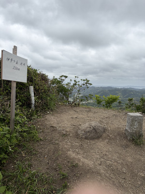 Image6