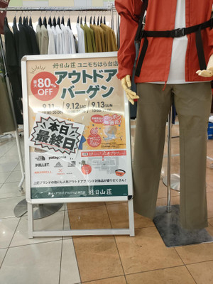 31