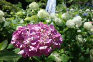 Dsc02752
