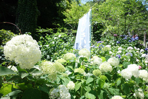Dsc02754