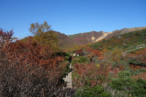Dsc02906