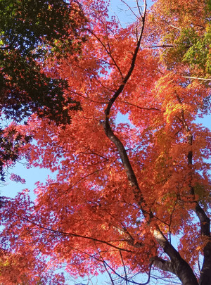 251107073307820 251107073307820