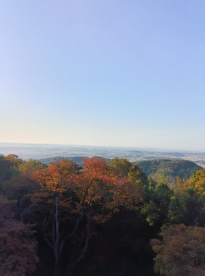 251107074159601 251107074159601