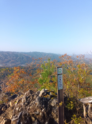 251114080835349 251114080835349