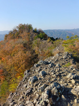 251114081735616 251114081735616