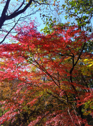 251114082920284 251114082920284