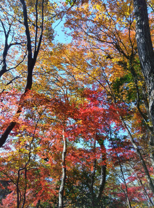 251114092129111 251114092129111