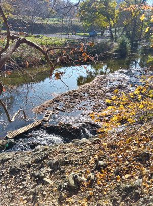 251114095129017 251114095129017