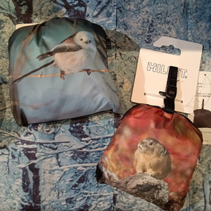 Kimg20251119_1021109352