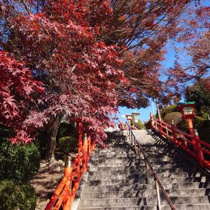 20251121_114131 20251121_114131