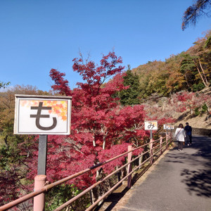 20251121_120742 20251121_120742