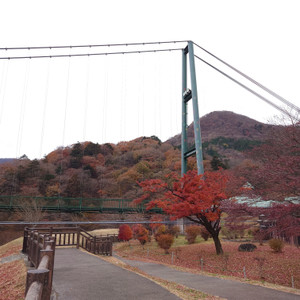 20251125_091754 20251125_091754