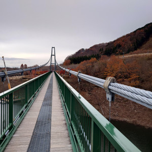 20251125_092904 20251125_092904