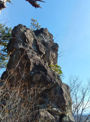 260120110339034 260120110339034