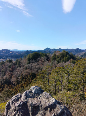 260120110758446 260120110758446