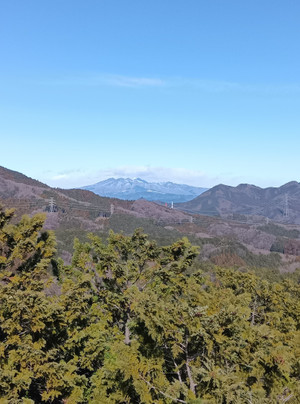 260120110815364 260120110815364