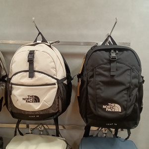 Kimg20260201_100239812