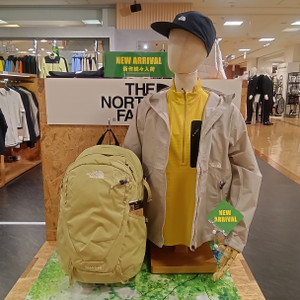 Kimg20260219_114908298