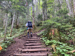 Line_107618503525894