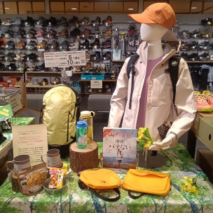 Kimg20260305_103450387