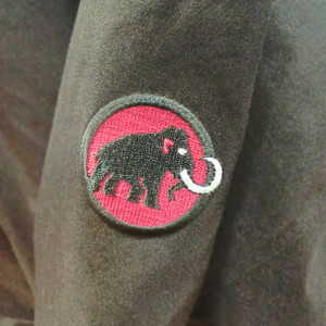 Kimg20260312_110210266