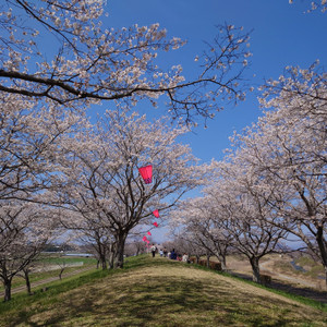 20260403_112743 20260403_112743