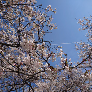 20260403_112843 20260403_112843