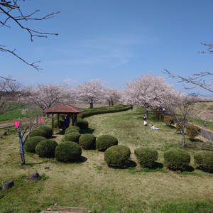 20260403_113123 20260403_113123