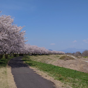 20260403_113225 20260403_113225