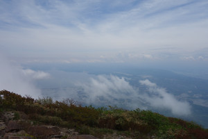 Dsc03337