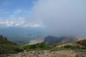 Dsc03339