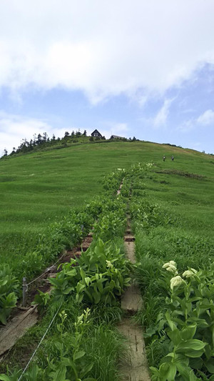 Koyanomierusakamiti 駒の小屋が斜面の先にあります綺麗な光景です