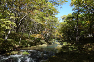 Dsc03479