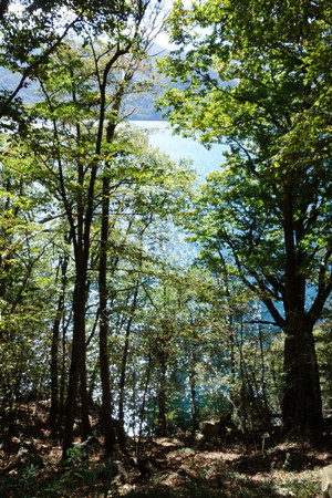 Dsc03485